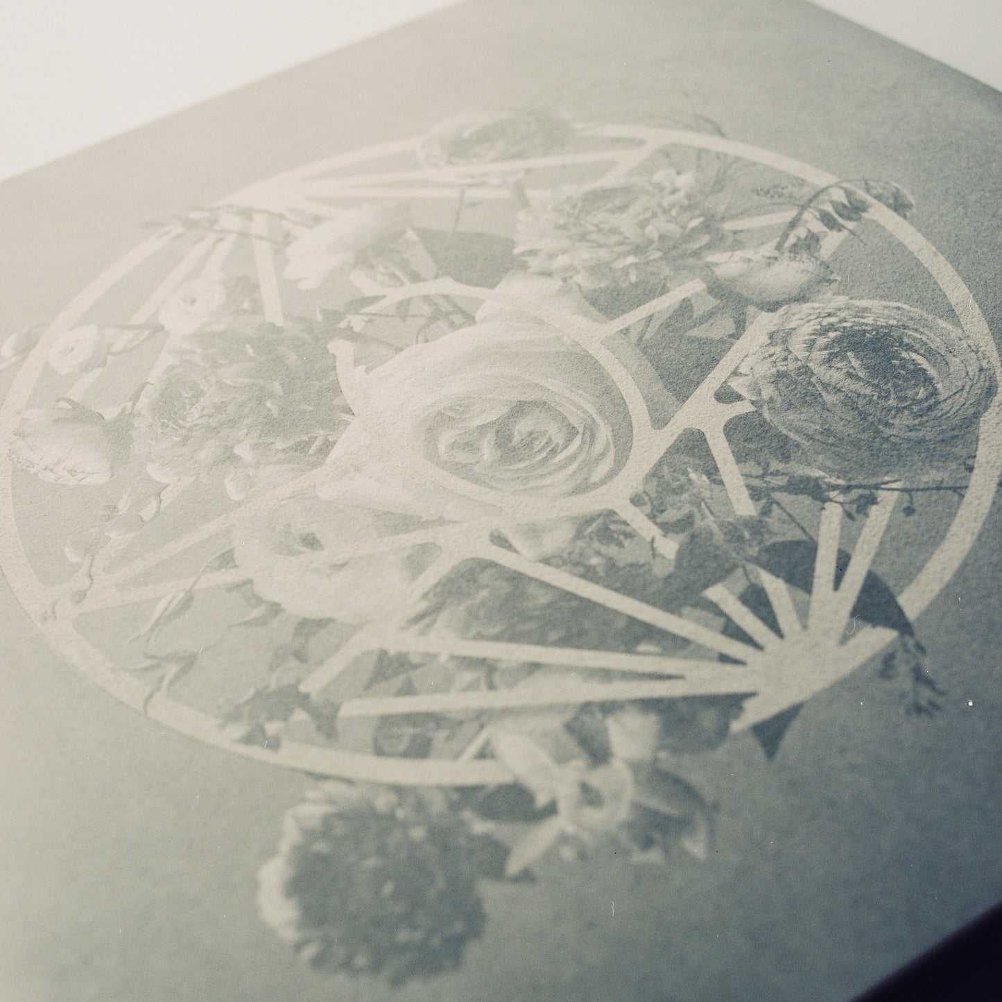 Turn The Light On: Deluxe Edition - Marbled White Vinyl
